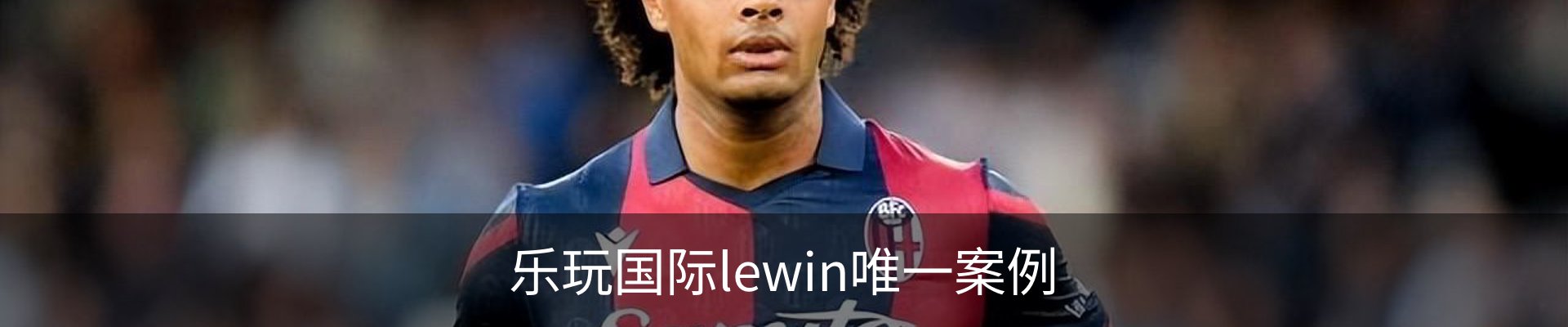 乐玩国际lewin唯一案例